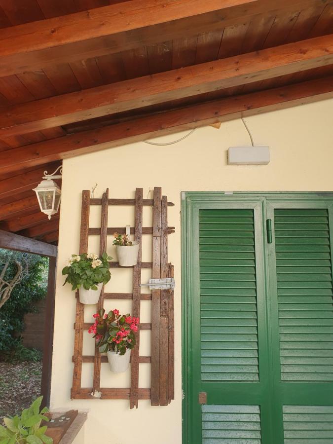 Andrea'S House Villa Fiumicino Exteriör bild