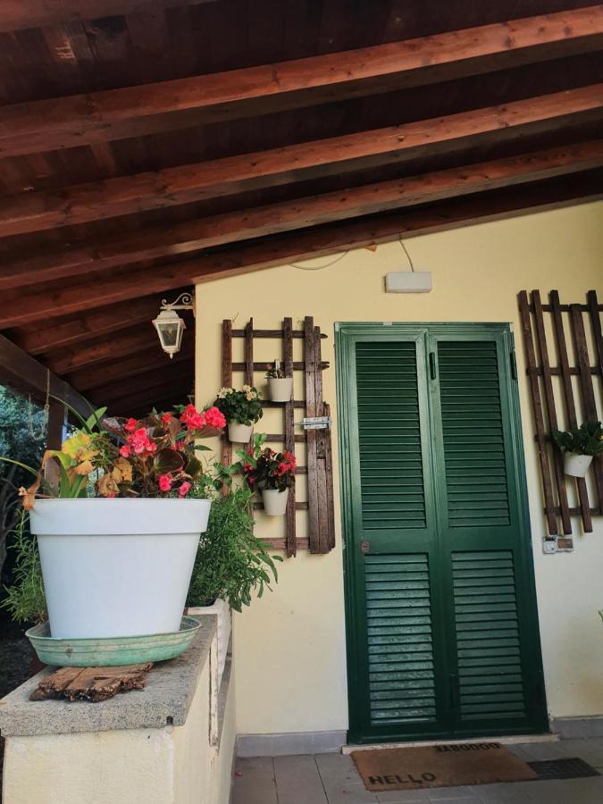 Andrea'S House Villa Fiumicino Exteriör bild